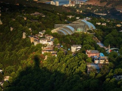 重庆南山植物园有些什么美景?(附景点介绍)