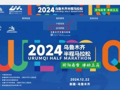 2024乌鲁木齐半程马拉松成绩证书查询方式