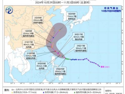 台风康妮将在哪里登陆?(中央气象台29日预报)