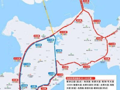2023阳江海陵岛马拉松路线图(附终点图)