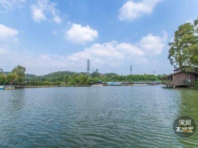 深圳观澜山水田园有什么好玩的(景点+项目)