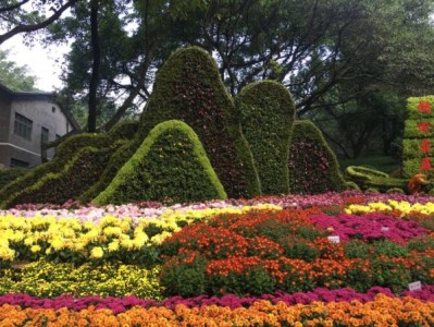2024重庆鹅岭公园菊花展什么时候结束?
