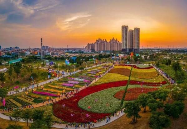 2024中山市小榄菊花会什么时候举办