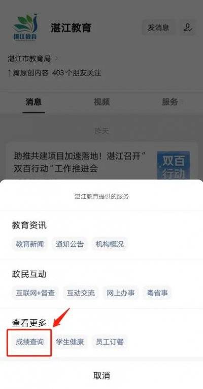 湛江霞山中考成绩查询2024（2）