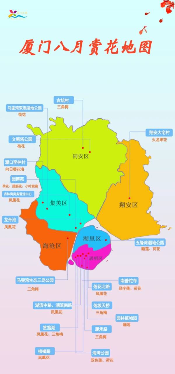 厦门八月赏什么花？附八月赏花地图