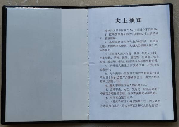 杭州狗证长什么样子的？（2）