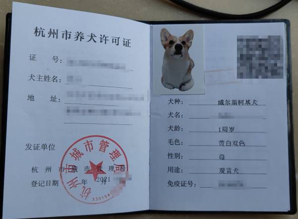 杭州狗证长什么样子的？（3）