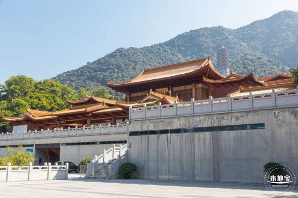 深圳仙湖植物园中秋有什么活动（3）