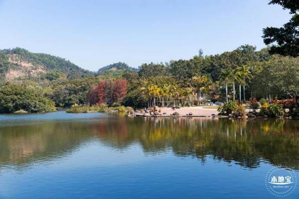 深圳仙湖植物园中秋有什么活动（2）