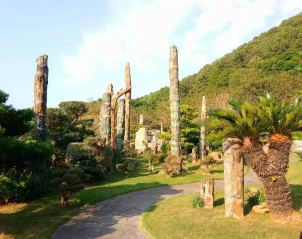 深圳仙湖植物园中秋有什么活动（4）