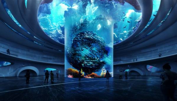 深圳小梅沙海洋世界有什么好玩的