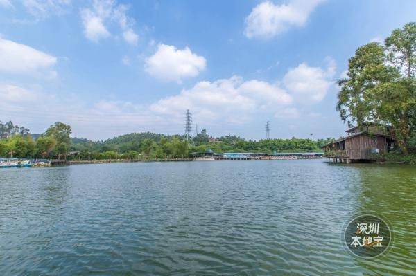 深圳观澜山水田园有什么好玩的(景点+项目)
