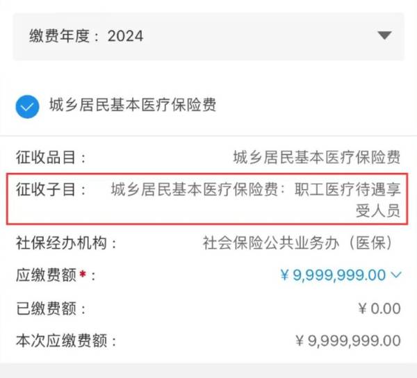重庆税务居民医保缴费为什么交不了？（4）