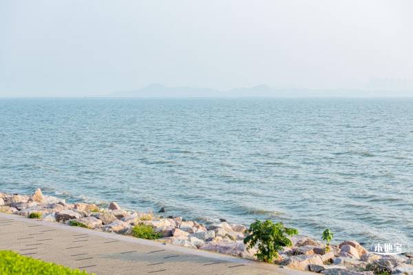 深圳湾公园国庆有灯光秀吗2024