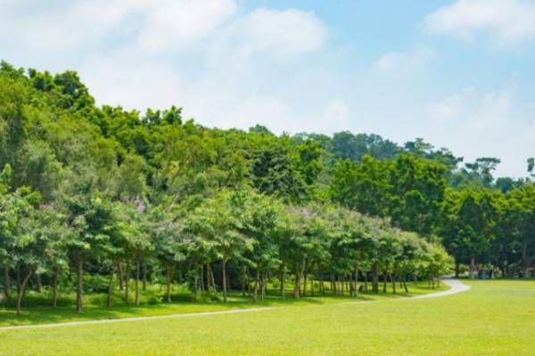 2024深圳莲花山公园国庆活动有哪些？（2）