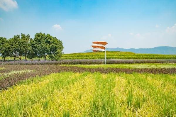 2024深圳光明小镇欢乐田园国庆活动详情（3）