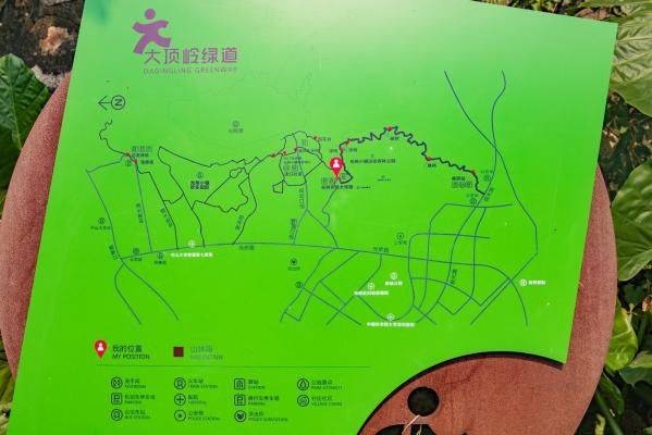 2024深圳大顶岭绿道国庆有什么好玩的(3) 2024深圳大顶岭绿道国庆有什么好玩的(3)