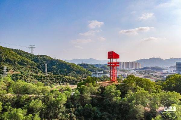 深圳虹桥公园有什么好玩的景点（2）