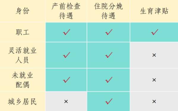 在海南不同人群享受的生育待遇有什么区别？（2）