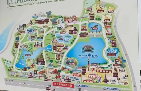 南宁动物园熊猫馆在哪里