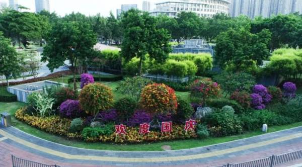 厦门全年赏花地图（什么花+去哪赏+什么时候去）（2）