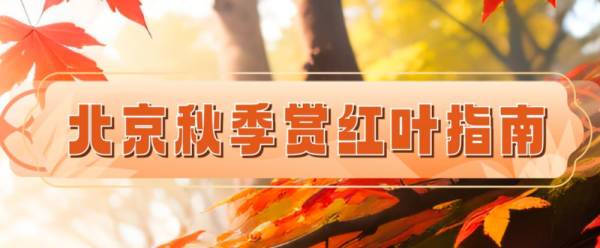2024北京香山红叶节什么时候开始什么时候结束?