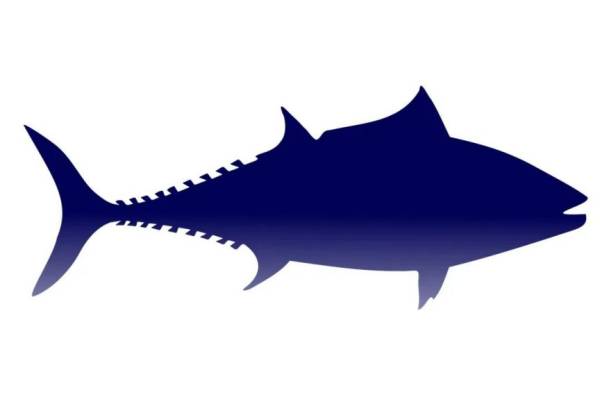 2024海口海食汇有什么活动？
