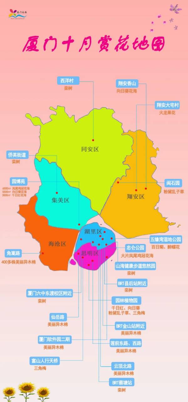 厦门十月赏花地图（品种+地点）