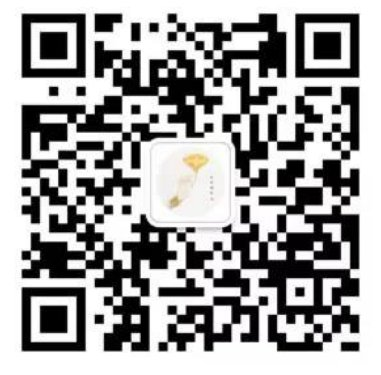 2024西安古观音禅寺银杏树最佳参观时间