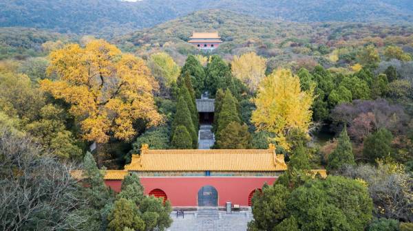 南京明孝陵石象路秋天景色什么时候最美