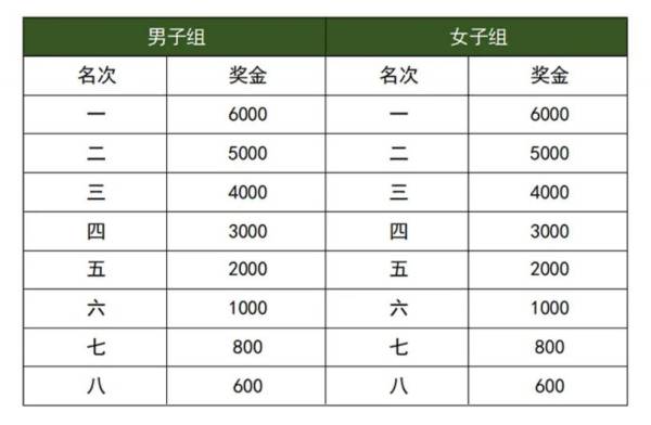 2025湛江徐闻马拉松比赛奖励多少钱