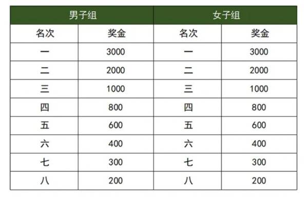 2025湛江徐闻马拉松比赛奖励多少钱（2）