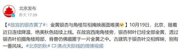 故宫银杏叶什么时候变黄？最佳观赏时间一览