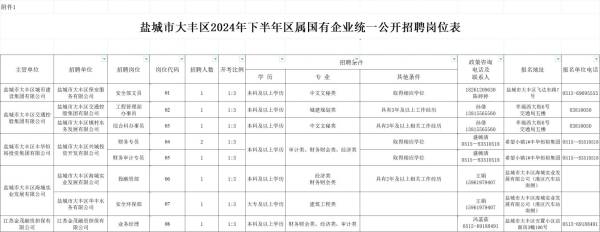 盐城大丰2024下半年区属国有企业招聘岗位