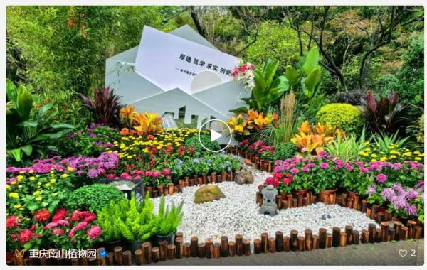 2024重庆第26届菊花展什么时候开始？