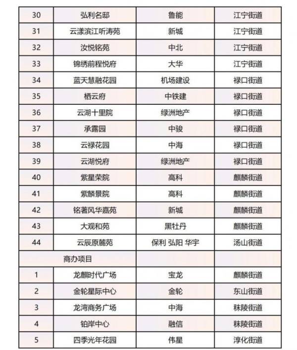 2024南京房展会参展项目有哪些（江宁区）（2）