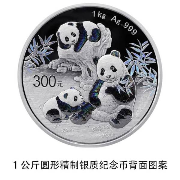 2025版熊猫纪念币长什么样子（22）
