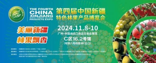 2024年十一月上旬看什么展？（9）