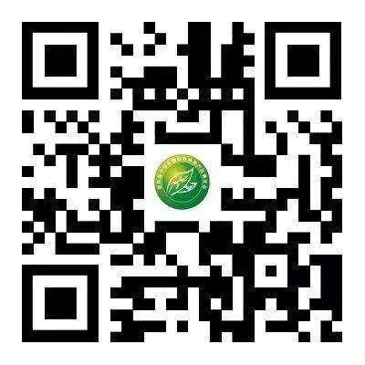 2024年十一月上旬看什么展？（10）