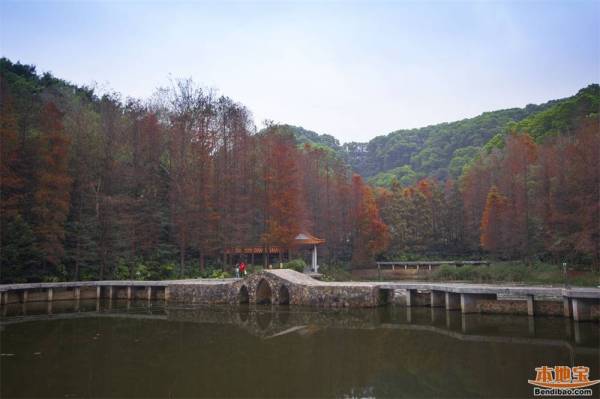 深圳仙湖植物园好玩吗（亮点+怎么去）（5）