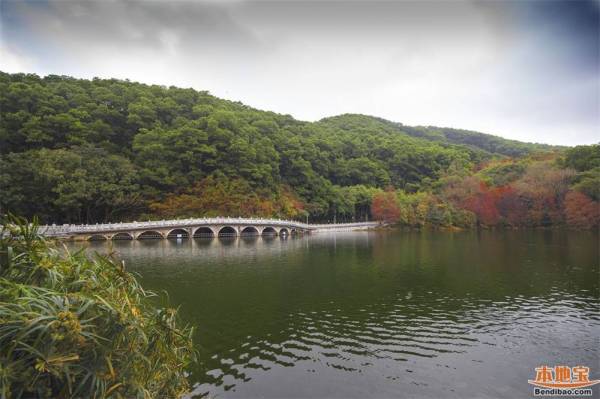深圳仙湖植物园好玩吗（亮点+怎么去）（6）