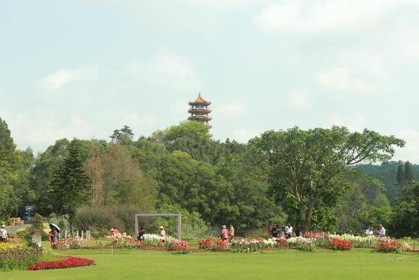 仙湖植物园内的塔叫什么塔