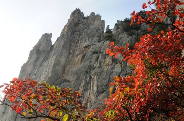2024巫山神女景区红叶观赏攻略（时间、门票、路线）