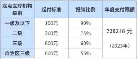 2024柳州城乡居民医保待遇