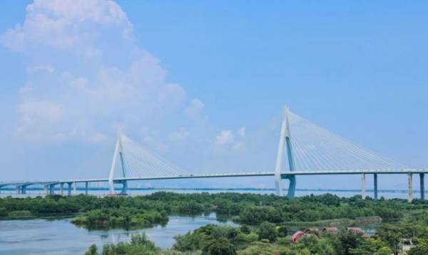 珠海芒洲湿地公园什么时候开放