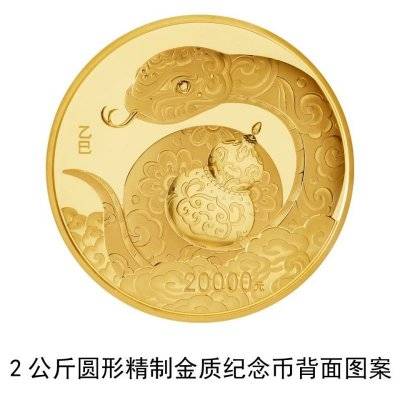 2025中国乙巳蛇年贵金属纪念币图案（14）