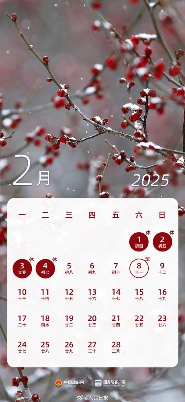 2025年放假日历表全年查询最新版(2) 2025年放假日历表全年查询最新版(2)