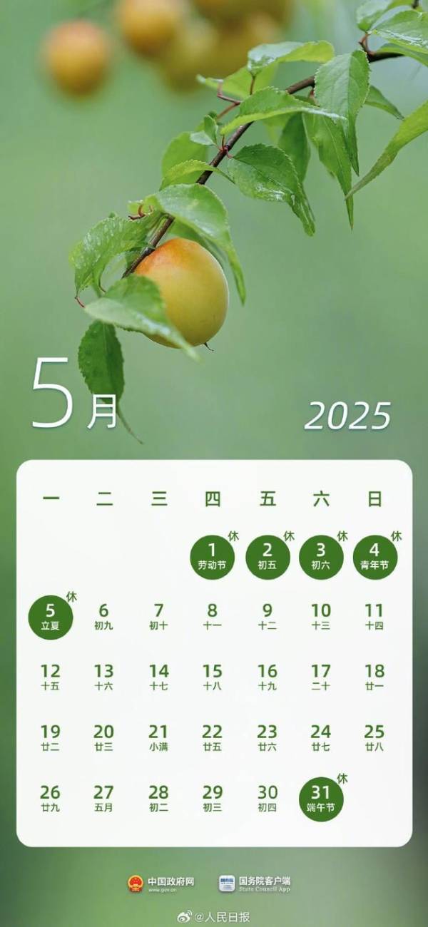 2025年放假日历表全年查询最新版(5) 2025年放假日历表全年查询最新版(5)