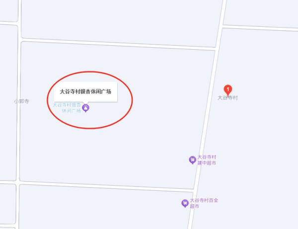 2024长葛大周镇大谷寺银杏树什么时候变黄