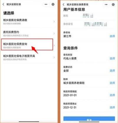 2024湛江城乡居民养老保险缴费什么时候截止（7）